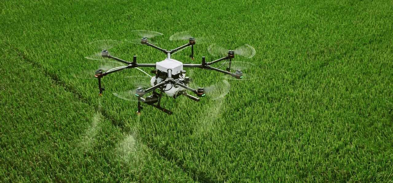 a DJI drone spraying pesticide over a field