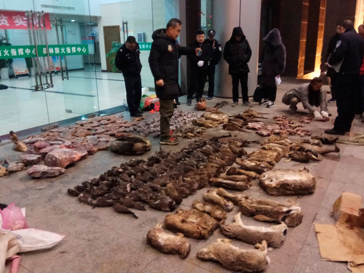 Cómo-llegó-el-coronavirus-a-wuhan-serpientes-murciélagos-