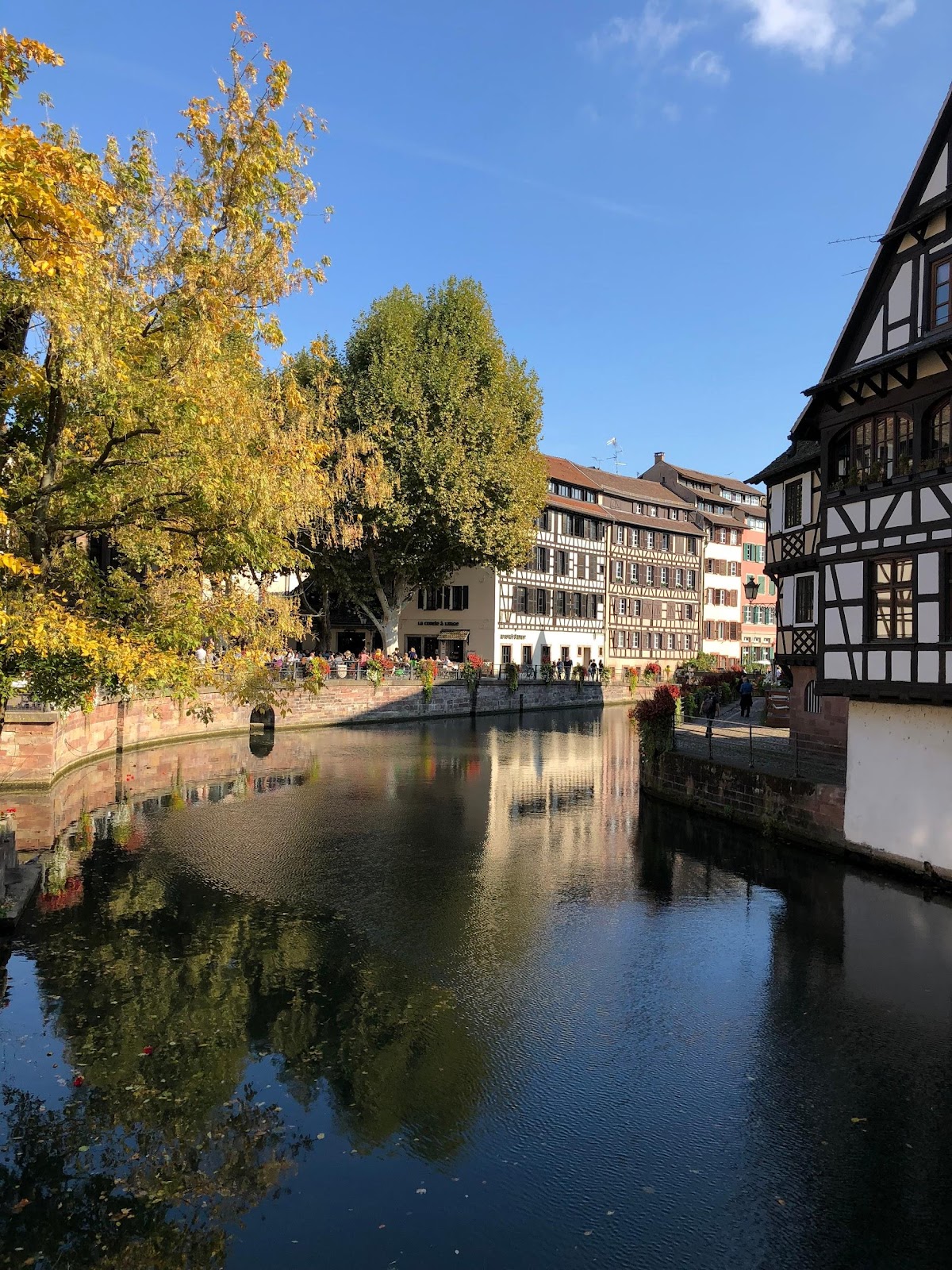 strasbourg medieval old town traditional wooden and white buildings near calm rhein river and yellow trees in france. See Strasbourg during our Black forest Germany road trip itinerary.