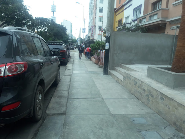 Camino de Vida - Lince - Lima