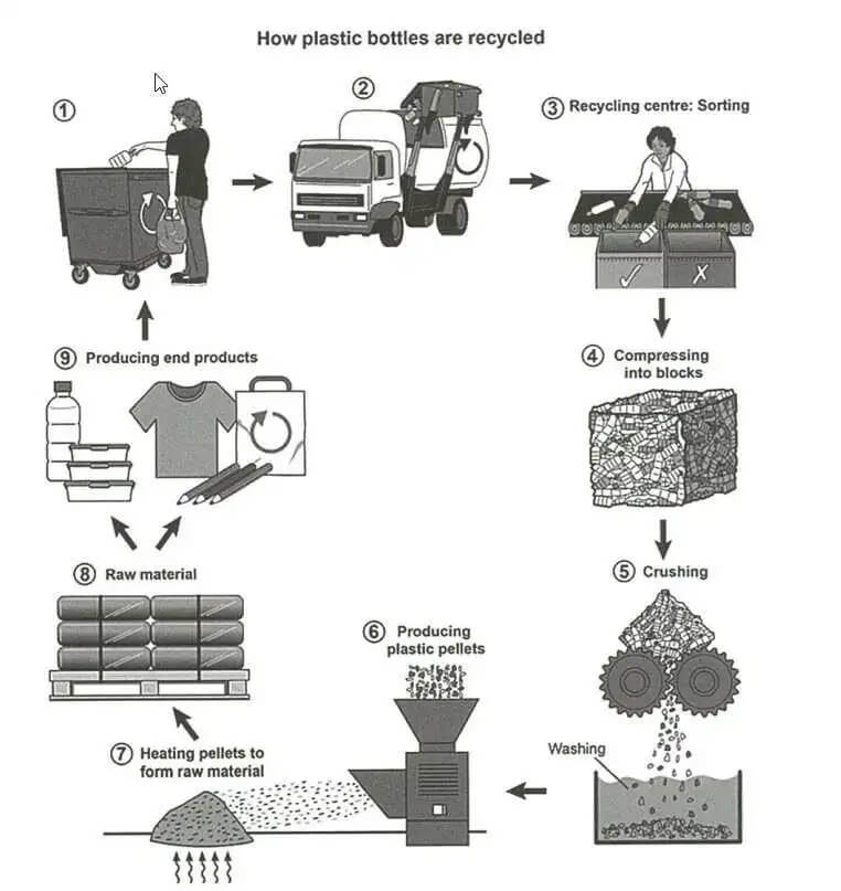 Bài mẫu dạng Process