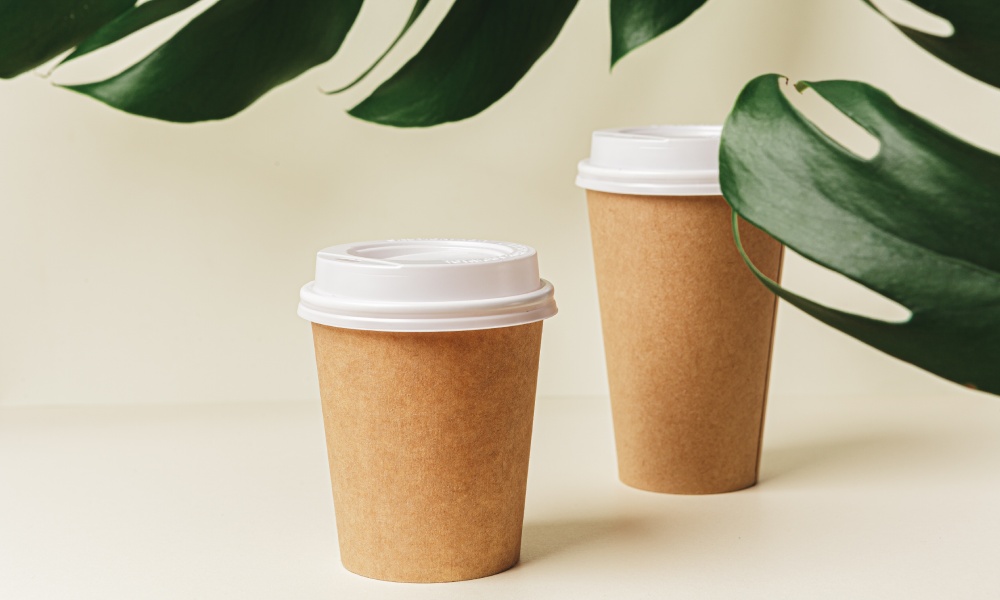 Disposable coffee cups release trillions of plastic particles