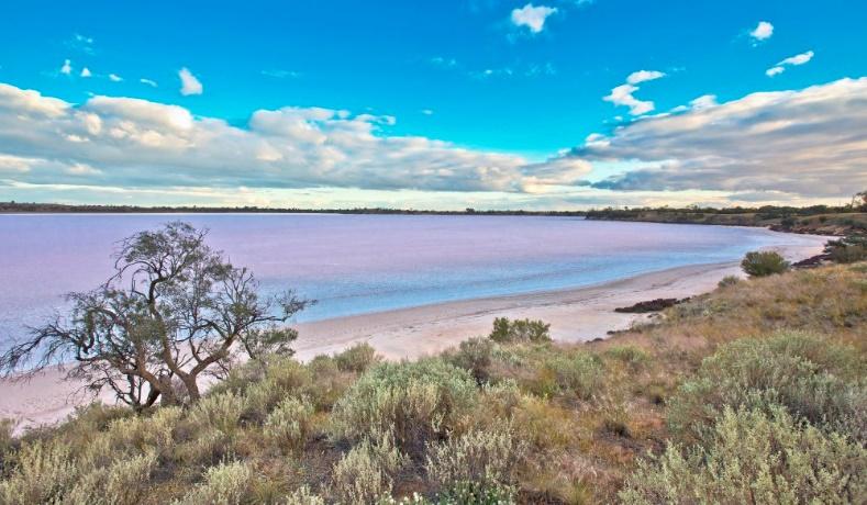 pink lake