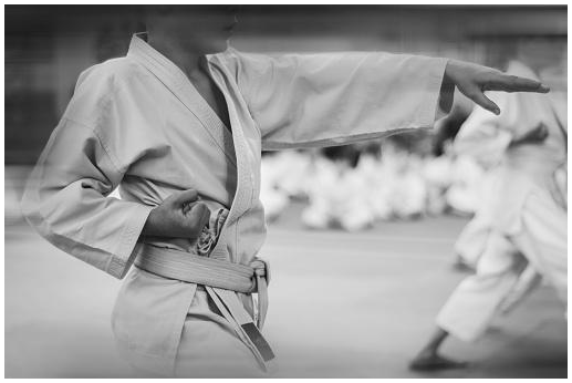 Japanese Martial Arts | Karate