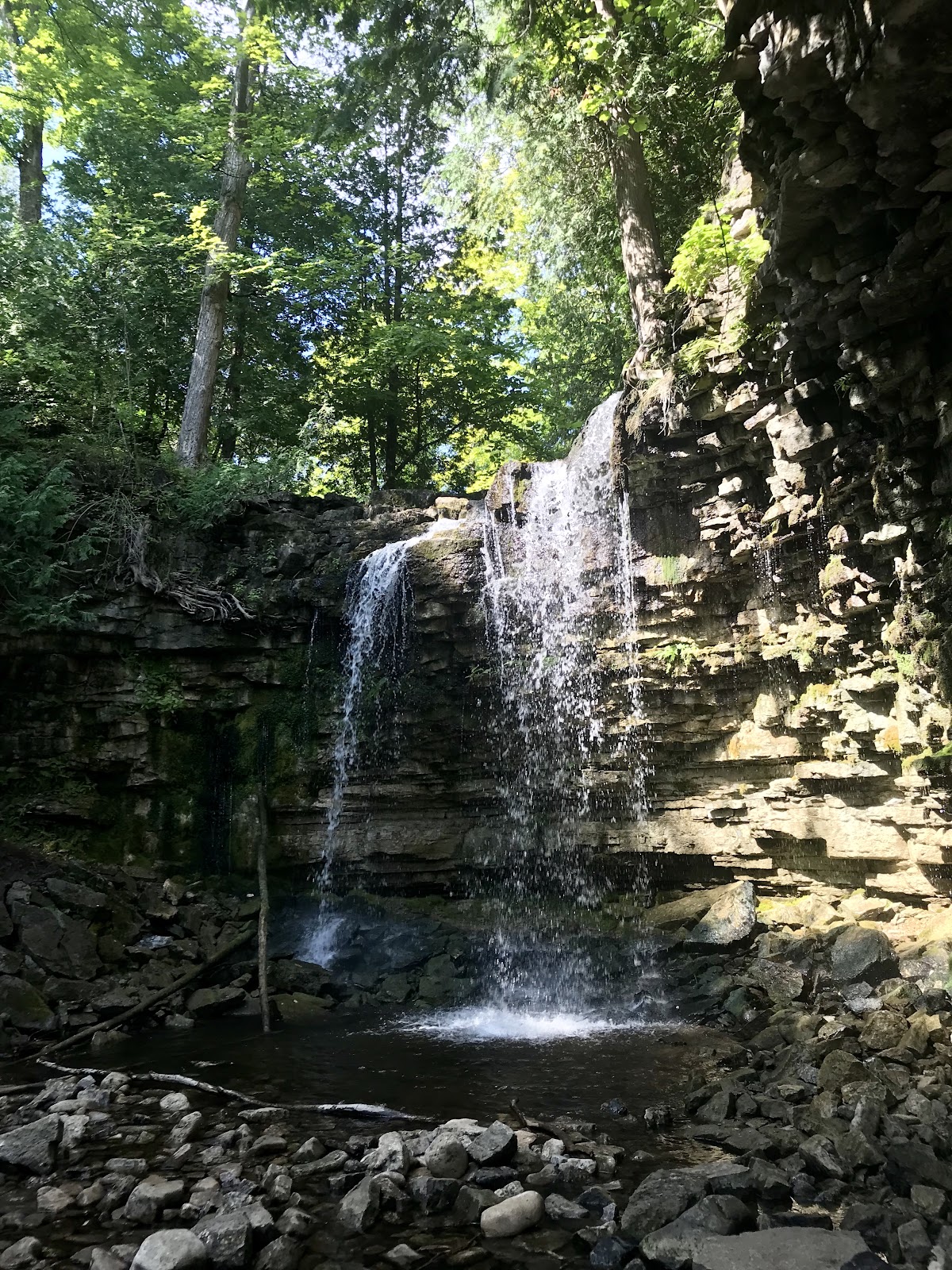 hilton falls