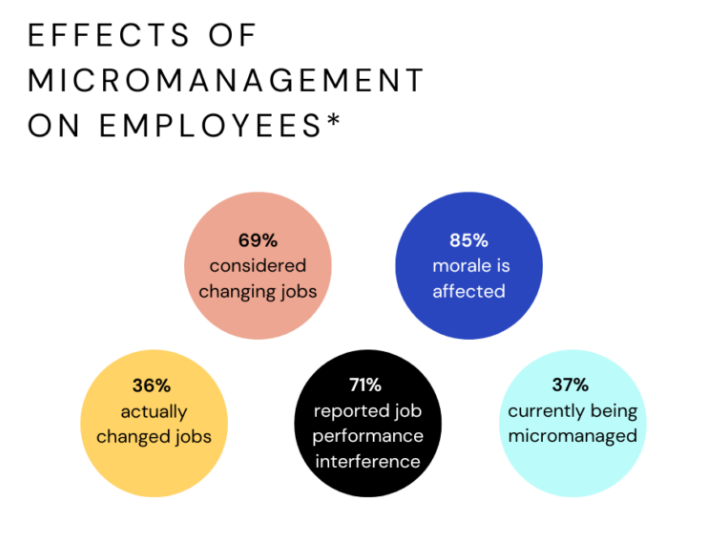 Effective Project Management - Prevent Micromanagement

