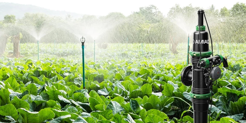 Crop rotation helps improve water infiltration