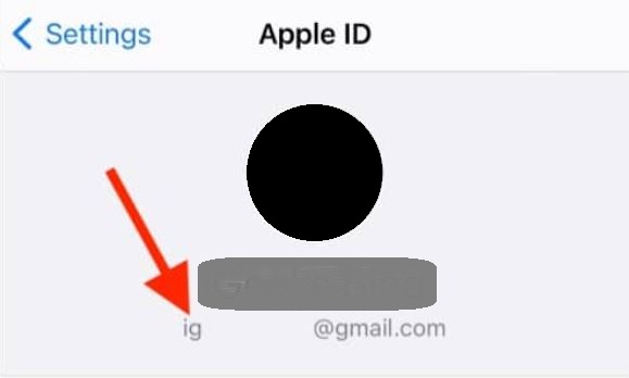 Fix Apple “Update Apple ID Settings” On iPhone And iPad
