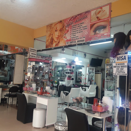 Opiniones de Spa Lidia en Huancayo - Spa