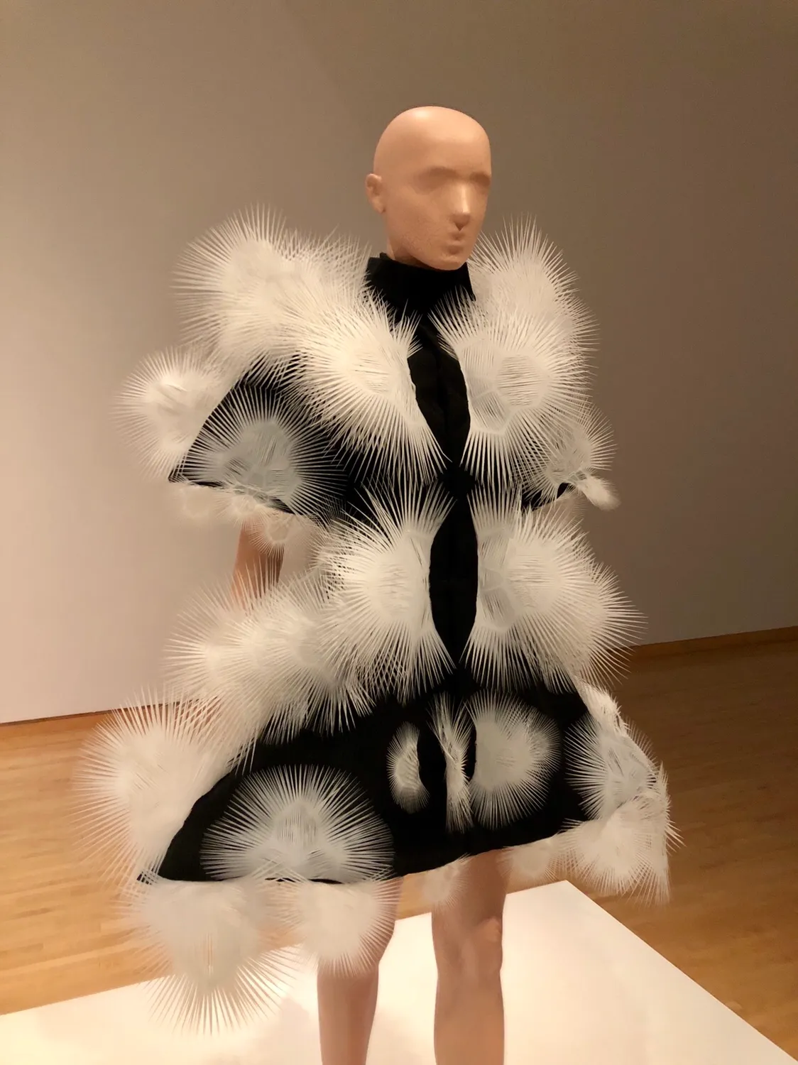 A mannequin wearing a black and white dress

Description automatically generated