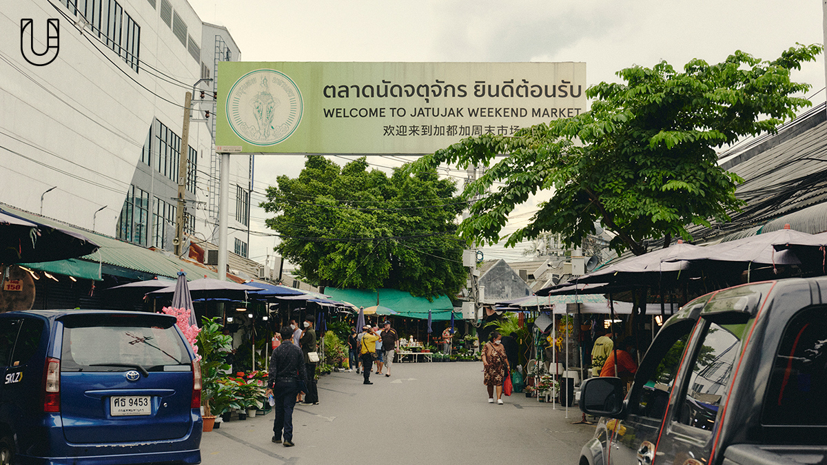 ‘ตลาดต้นไม้ ตลาดนัดจตุจักร’ ศูนย์รวมต้นไม้จากทั่วไทยมาไว้ใจกลางกรุง 