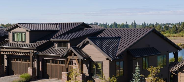 WeServe modern house with black metal roofing against blue background and trees