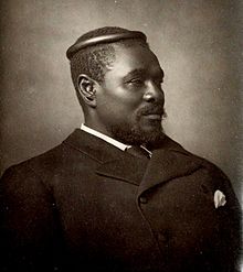 Image result for king cetshwayo 1883
