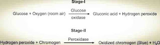 Glucose estimation in urine by god pod method