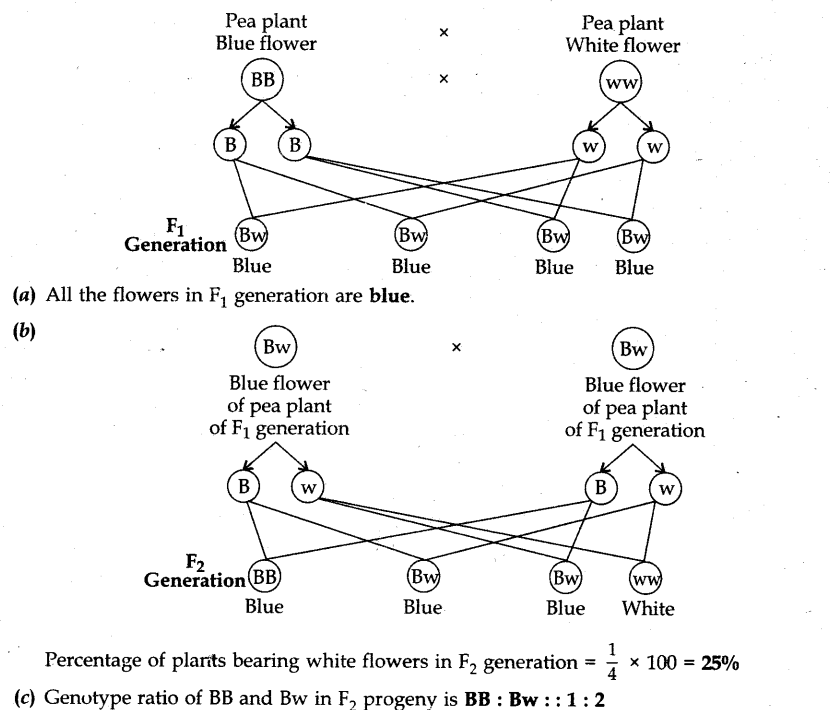 cbse-previous-year-question-papers-class-10-science-sa2-outside-delhi-2015-22