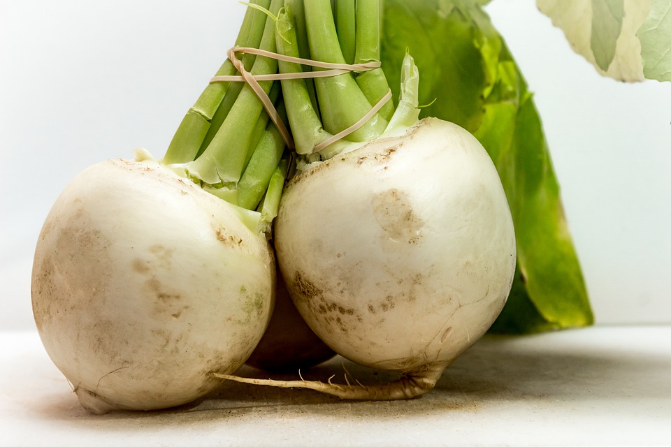 can guinea pigs eat turnip greens