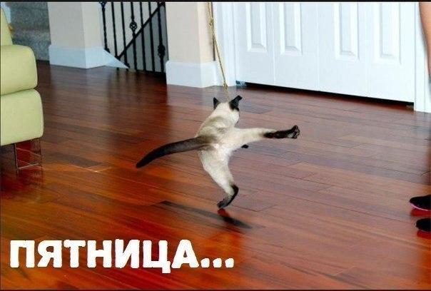 VpVtknN7J_mjiVpiktCRMsqwtNTAHeEhvI1_MqIU89ODDO1n4wXYw3V2CzRqd7bf4UaLnJfHwQYXKoja2r9jLlPKUgEB7XQ3lHW-zNme2xxB5t3TgUsvq1vzINdwQzw1rmjiaTf6