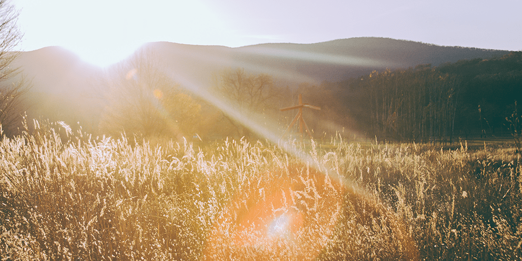 Mastering The Routine Of Success
