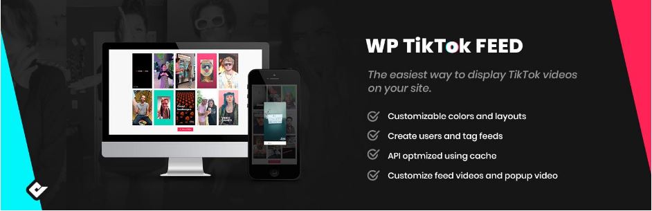 WordPress Tiktok Plugins