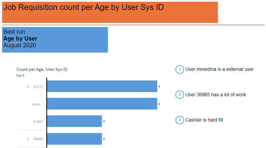 NBTEAM - SuccessFactors People Analytics 1