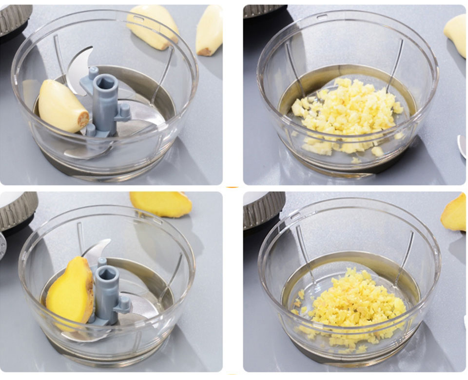 Mini Food Crusher