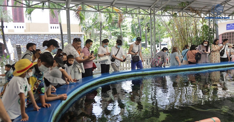 Visit Nha Trang - Visitors enjoy admiring the creatures at the Institute of Oceanography