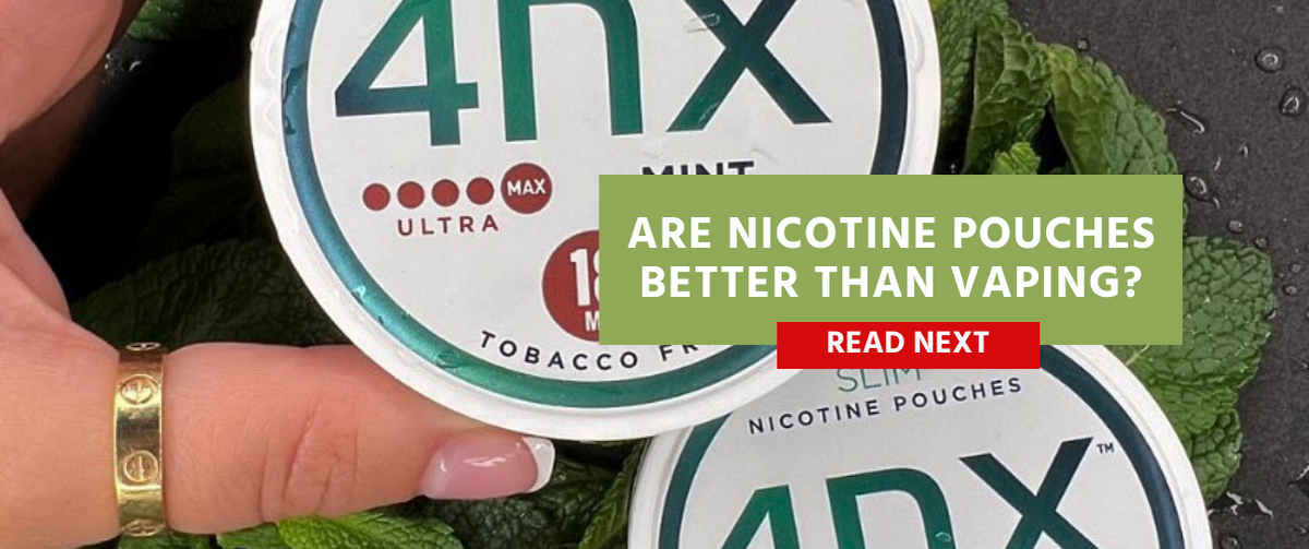 4nx mint nicotine pouches better than vaping