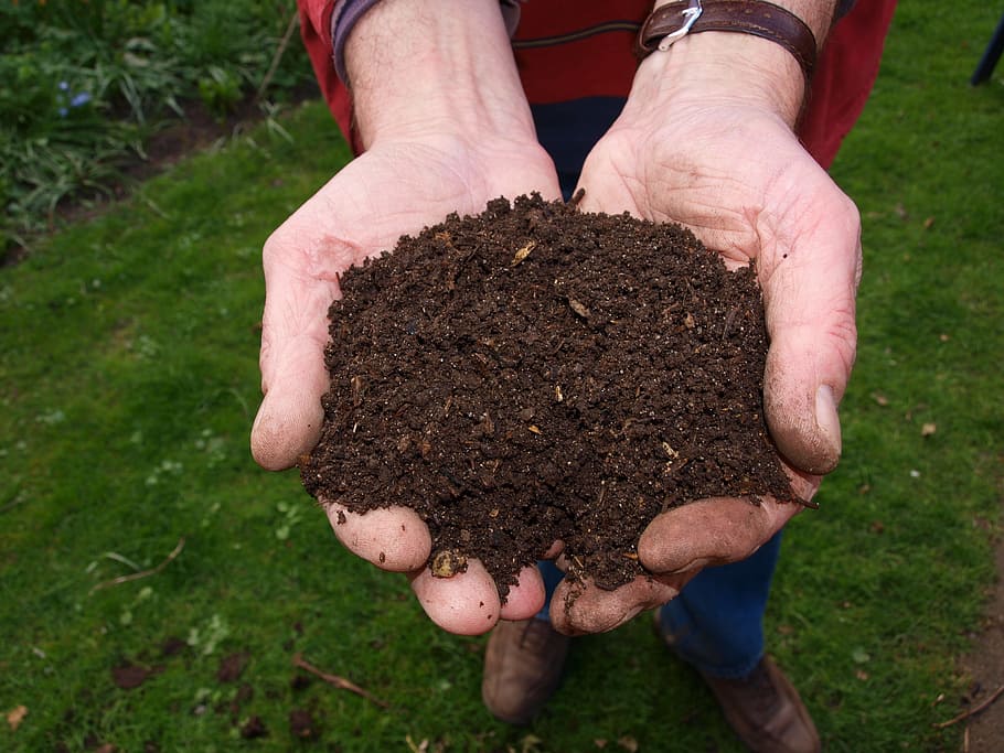 https://c1.wallpaperflare.com/preview/529/19/621/fresh-compost-hand-man.jpg