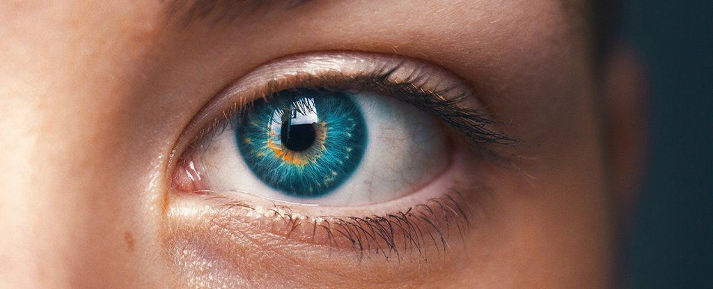 Scientists Have Detected an Entirely New Visual Phenomenon in The Human Eye  : ScienceAlert