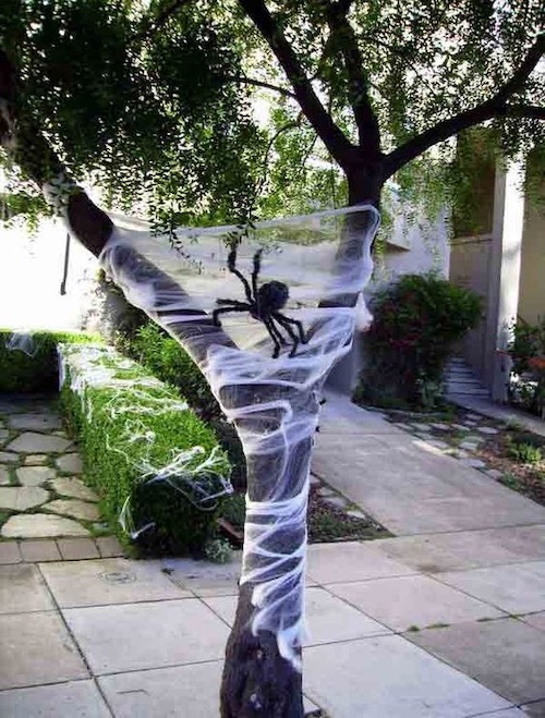 DIY Halloween outdoor decoration - decorate tree with cobwebs and spiders