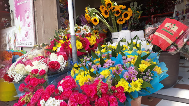 Floristeria bella flower - Organizador de eventos