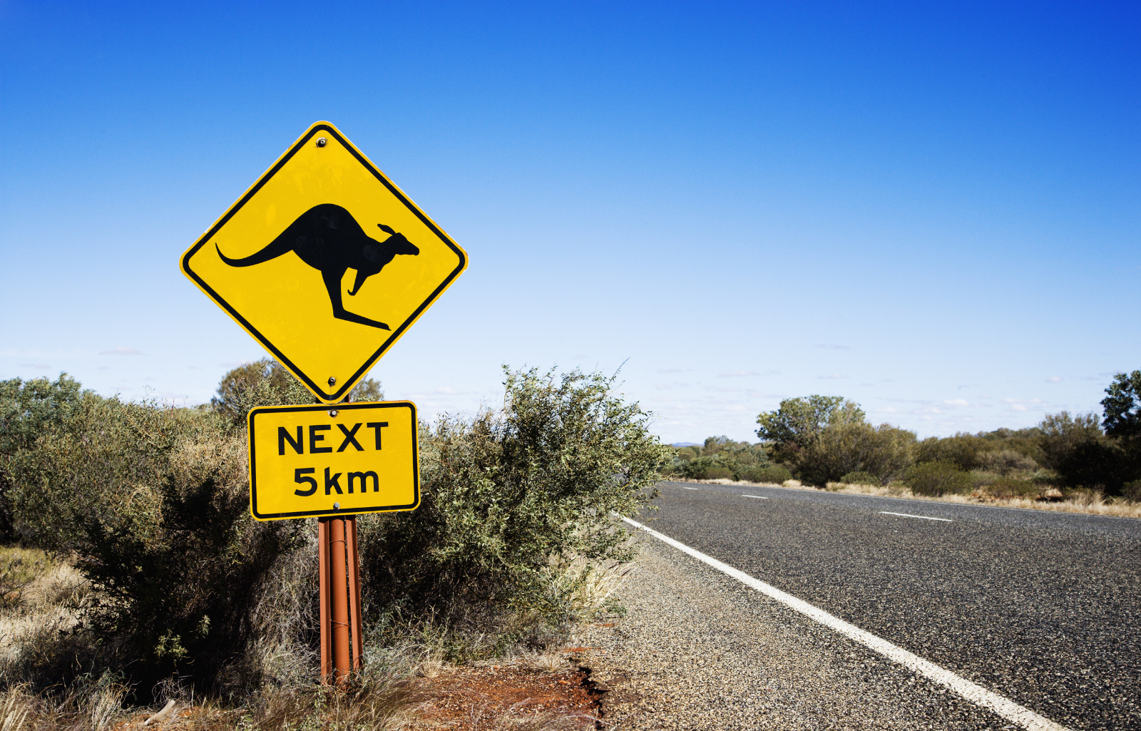 An Overview of Australia's Unique Wildlife