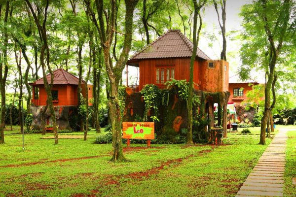Nikmati Sensasi Menginap Di Rumah Pohon Mekarsari Bogor