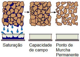 Manejo de irrigação - Como funciona a saturação, capacidade de campo e ponto de murcha permanente 