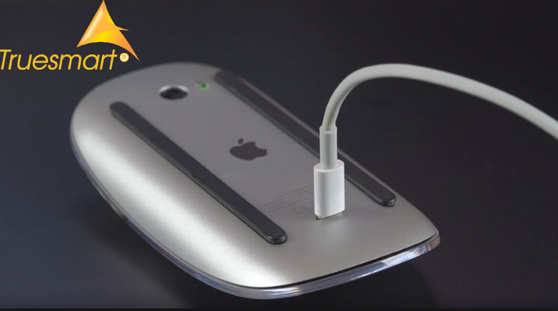 Chuột Apple Magic Mouse 2