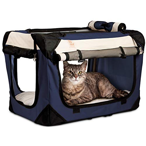 How to get an Aggressive Cat into a Cat Carrier