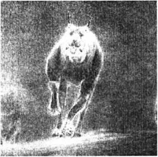D:\0 wd yedek\acr yedek\1 film indirme\forbidden_magic_ancients_12_dosyalar\image177.jpg