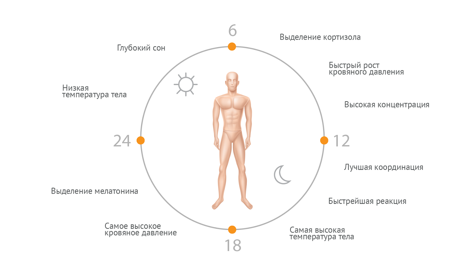 Влияние светового дня на человека