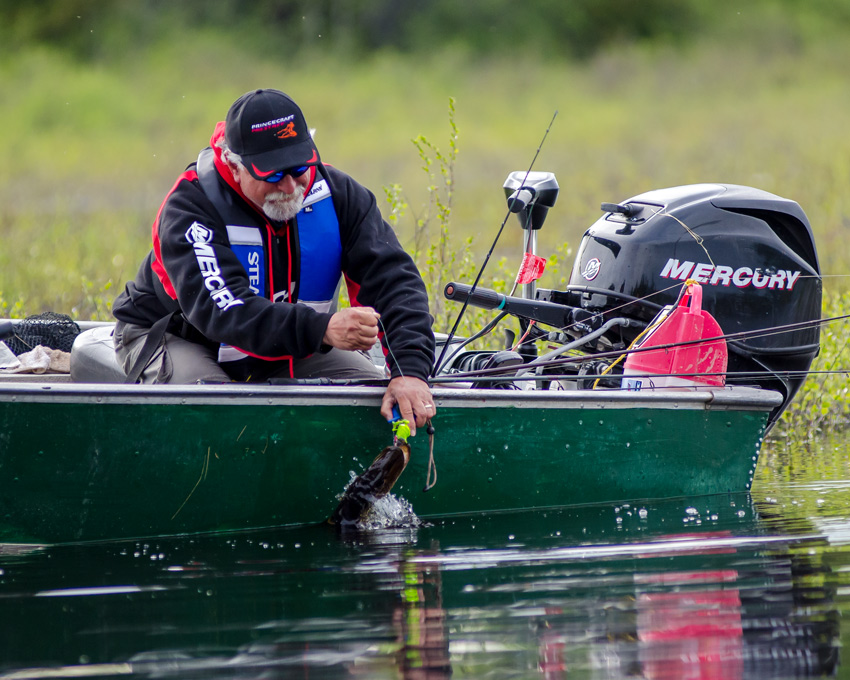 Angelo Viola releasing a Northern Pike boatside