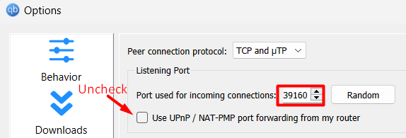 qBitTorrent Port Forwarding Options