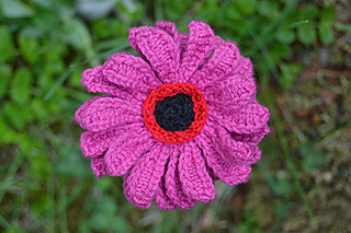knitted daisy outdoors
