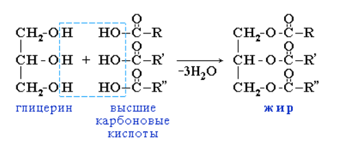 Ит пен борсық майы коронавирустан емдей ме?