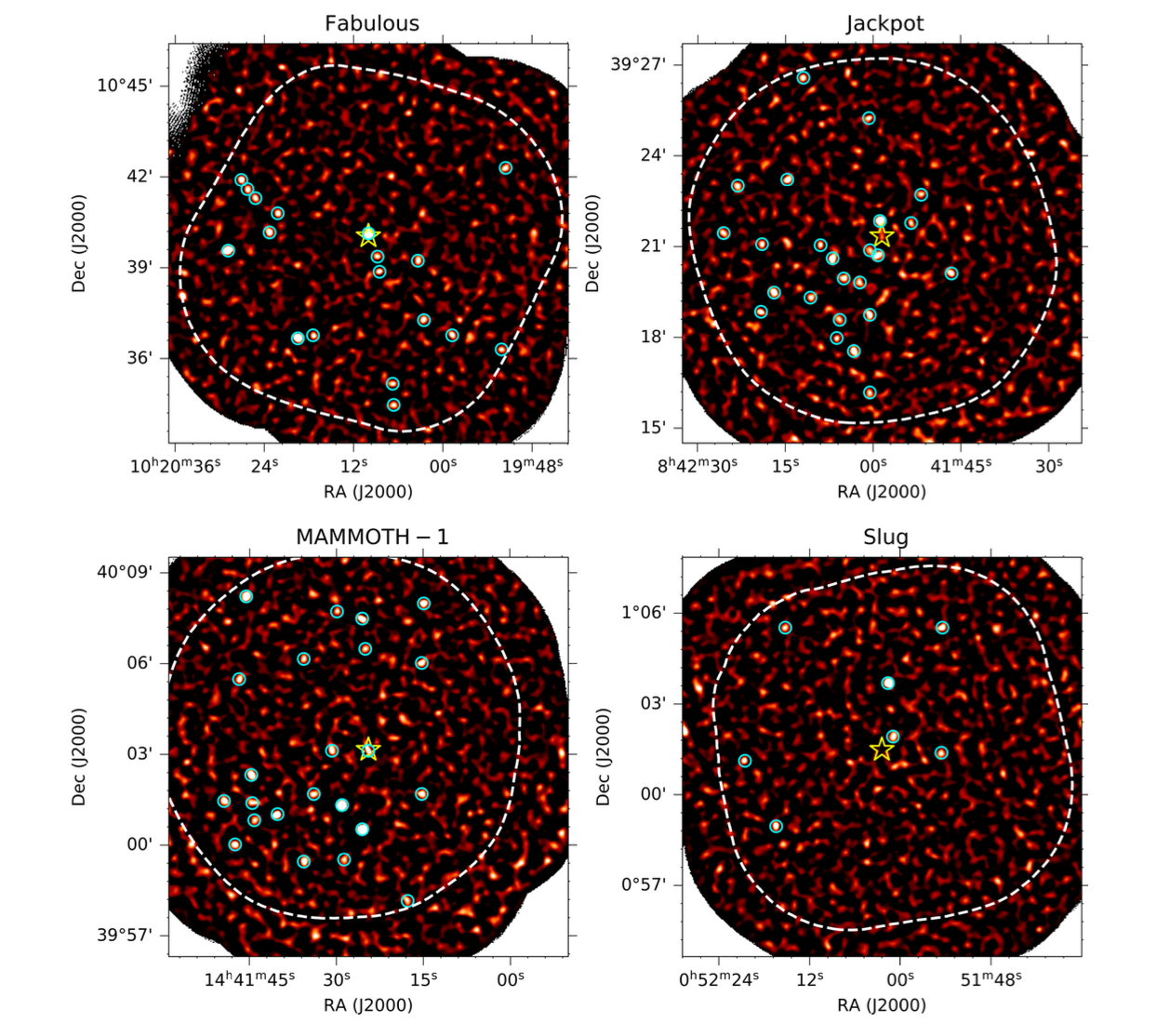 Four panel figure showing the dusty source detections around the central object for each ELAN field (Fabulous, Slug, MAMMOTH-1, and Jackpot). Each panel shows a clear over density of sources with about 10 sources detected