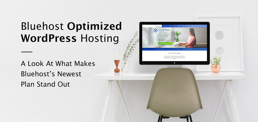 Revisão da hospedagem otimizada do WordPress Bluehost