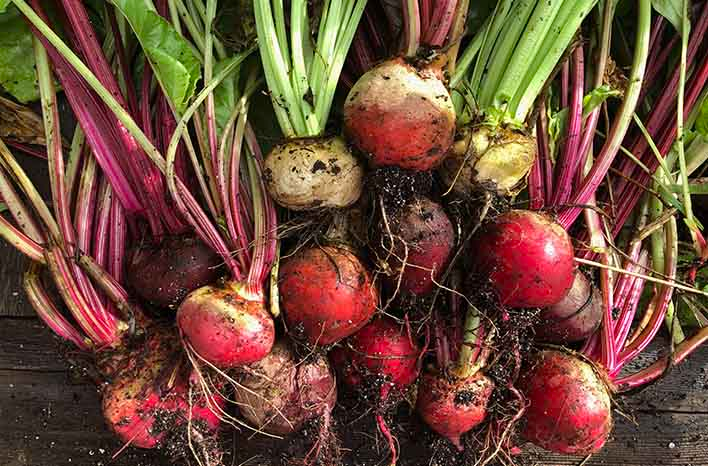 Beets