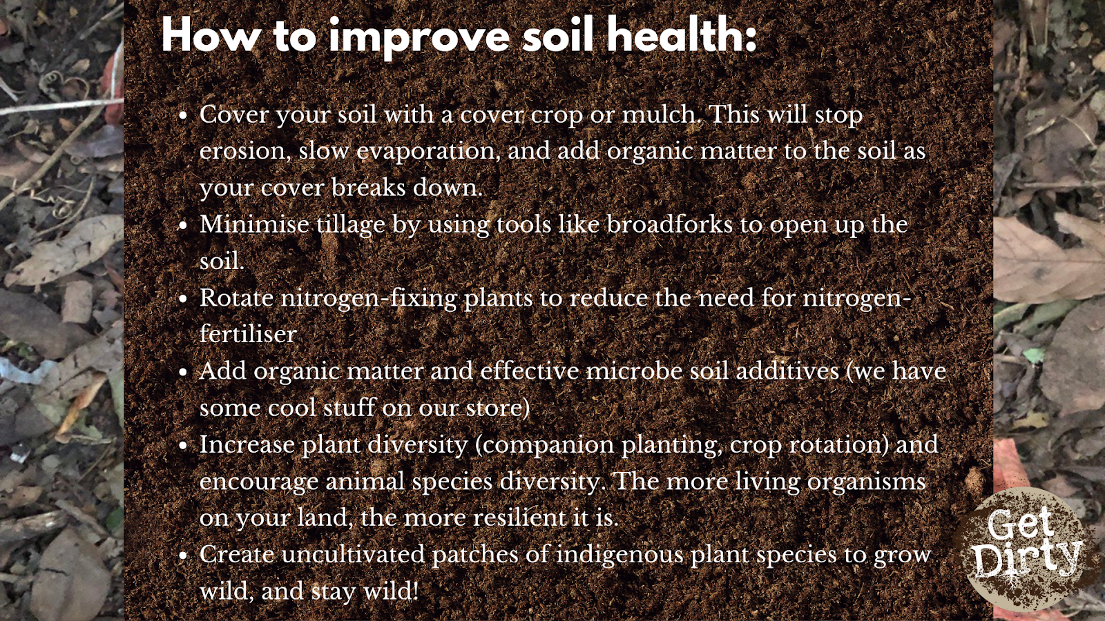 Soil Biodiversity: Why Should We Care? - Get Dirty