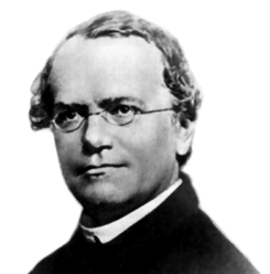 245px-Gregor_Mendel.png