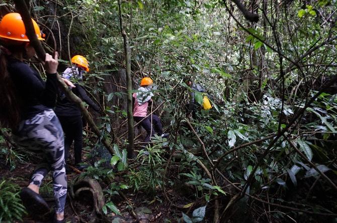 A group of people in a forest

Description automatically generated with medium confidence