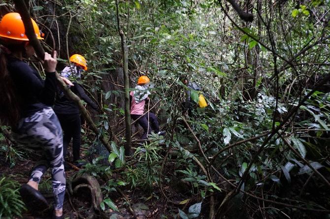 A group of people in a forest

Description automatically generated with medium confidence