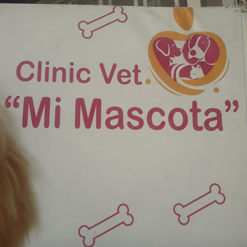 "Mi Mascota" - Veterinario